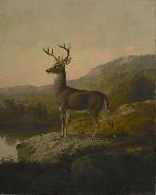 unknow artist Deer oil painting reproduction